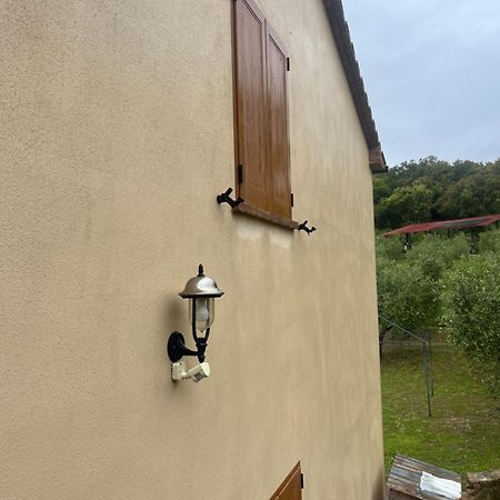 Agriturismo Il Sorbo Appartamento Menta Sticciano Eksteriør billede